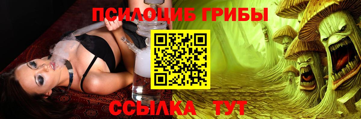 Галлюциногенные грибы GOLDEN TEACHER Чернушка