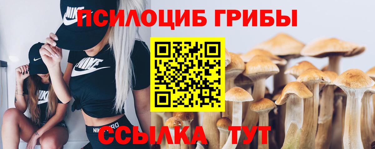 Галлюциногенные грибы GOLDEN TEACHER  Вход с VPN  Чернушка 