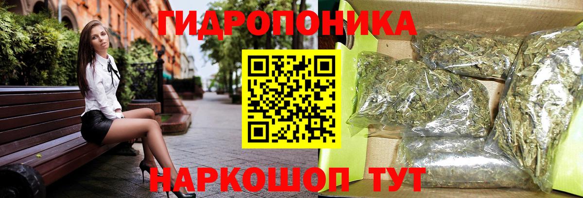 Конопля AK-47 Чернушка
